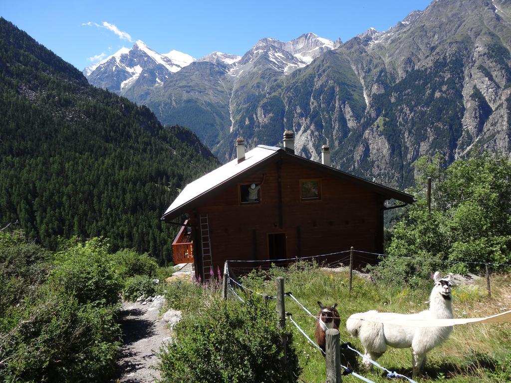 Panorama - Lovely Place In Nature Gasenried Esterno foto